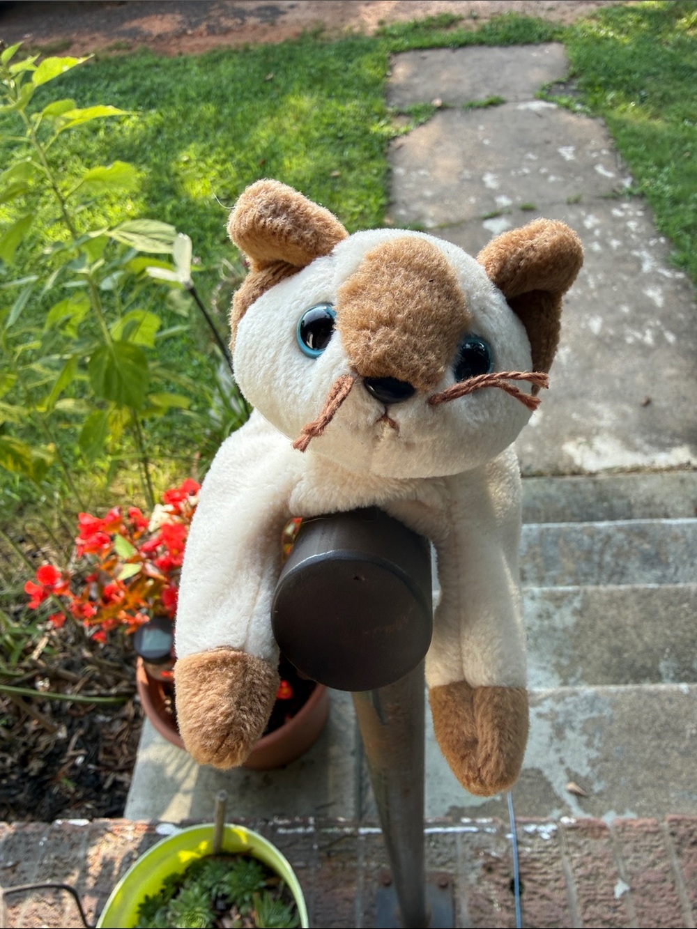 Vintage 1990s Ty Cream and Brown Plush Cat Toy with Blue Eyes